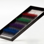 419_blakstienu-priemoniu-fotosesija